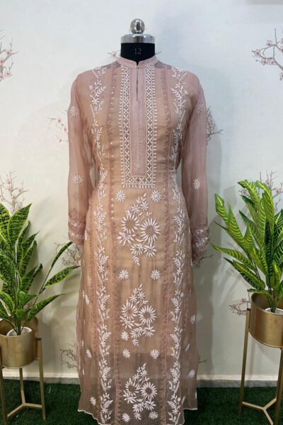 Pure Organza semi stitched Kurti