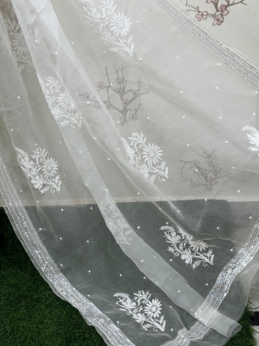 pure Organza silk saree