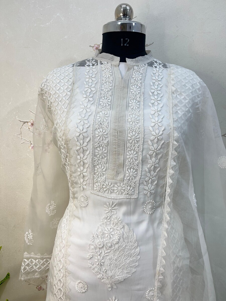 pure Organza semi stitched two pieces set - Image 5