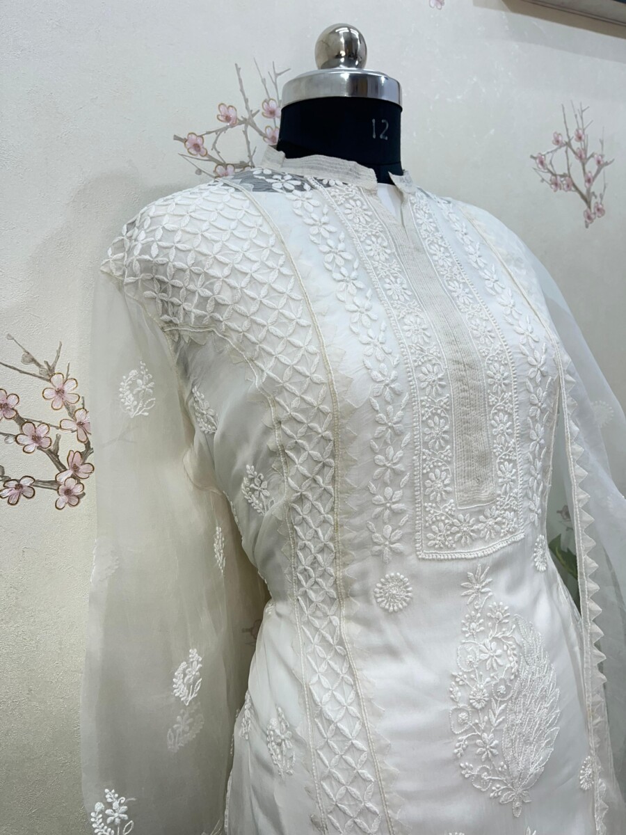 pure Organza semi stitched two pieces set - Image 6