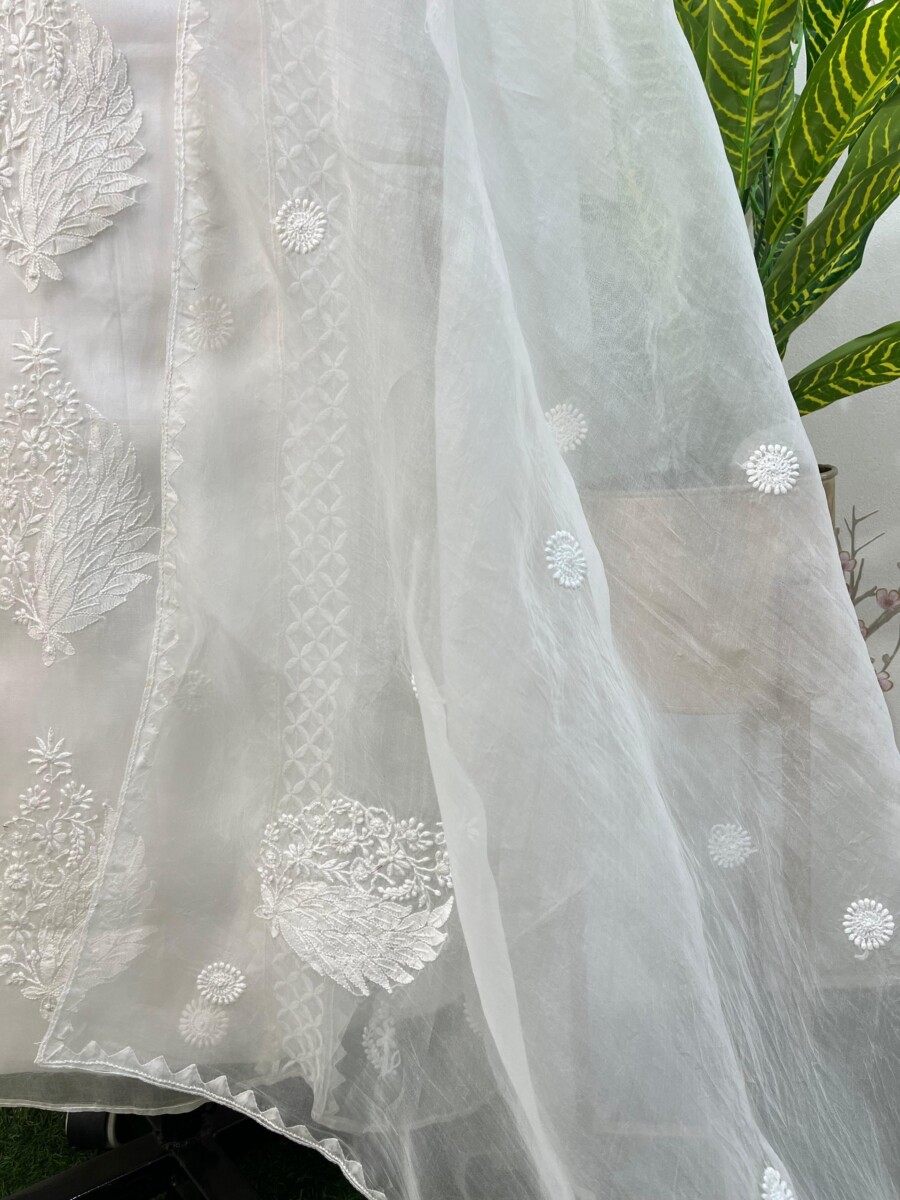 pure Organza semi stitched two pieces set - Image 3