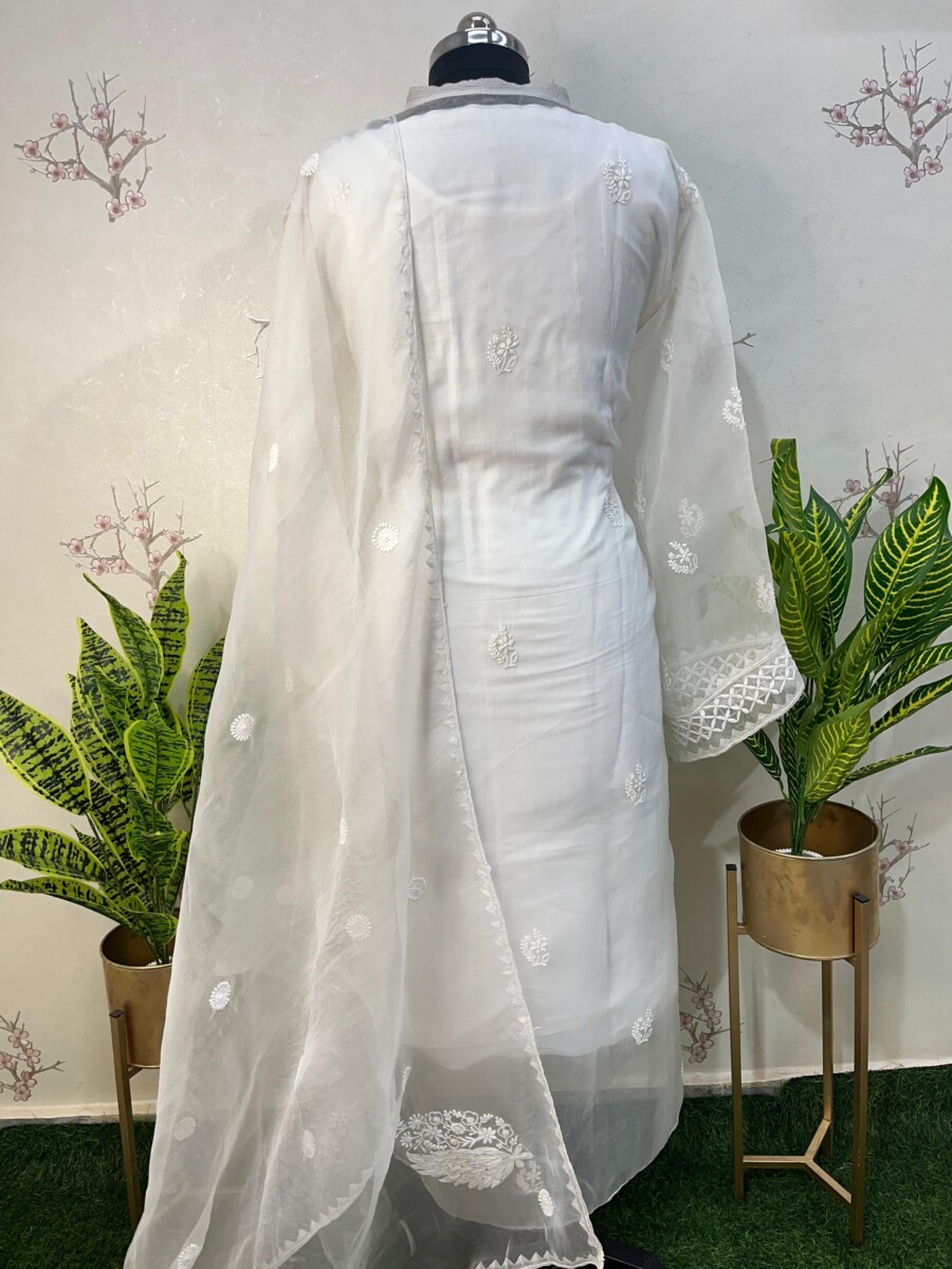 pure Organza semi stitched two pieces set - Image 4